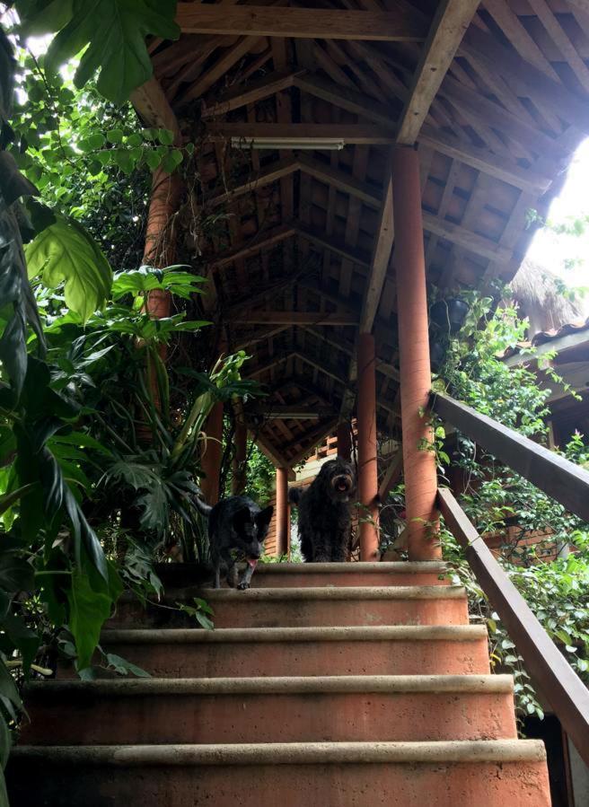 Casa H Rinconcito